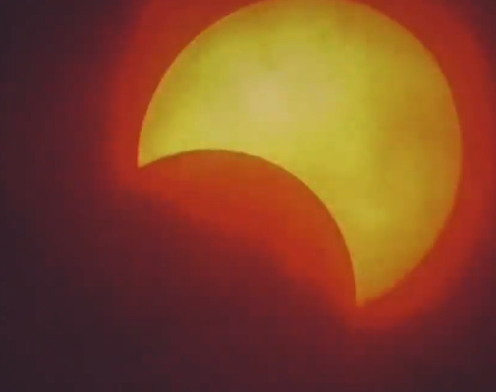 Solar eclipse live shots