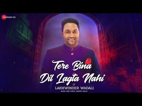 Tere Bina Dil lagta Nahi Lyrics
