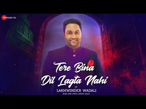 Tere Bina Dil lagta Nahi Lyrics