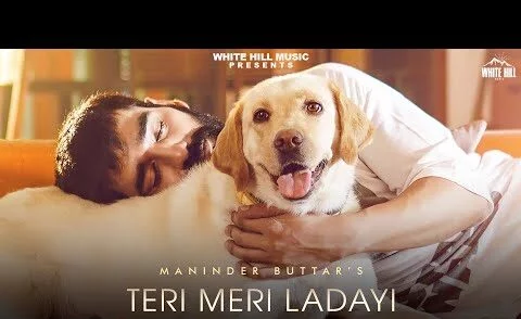 Teri Meri Ladayi