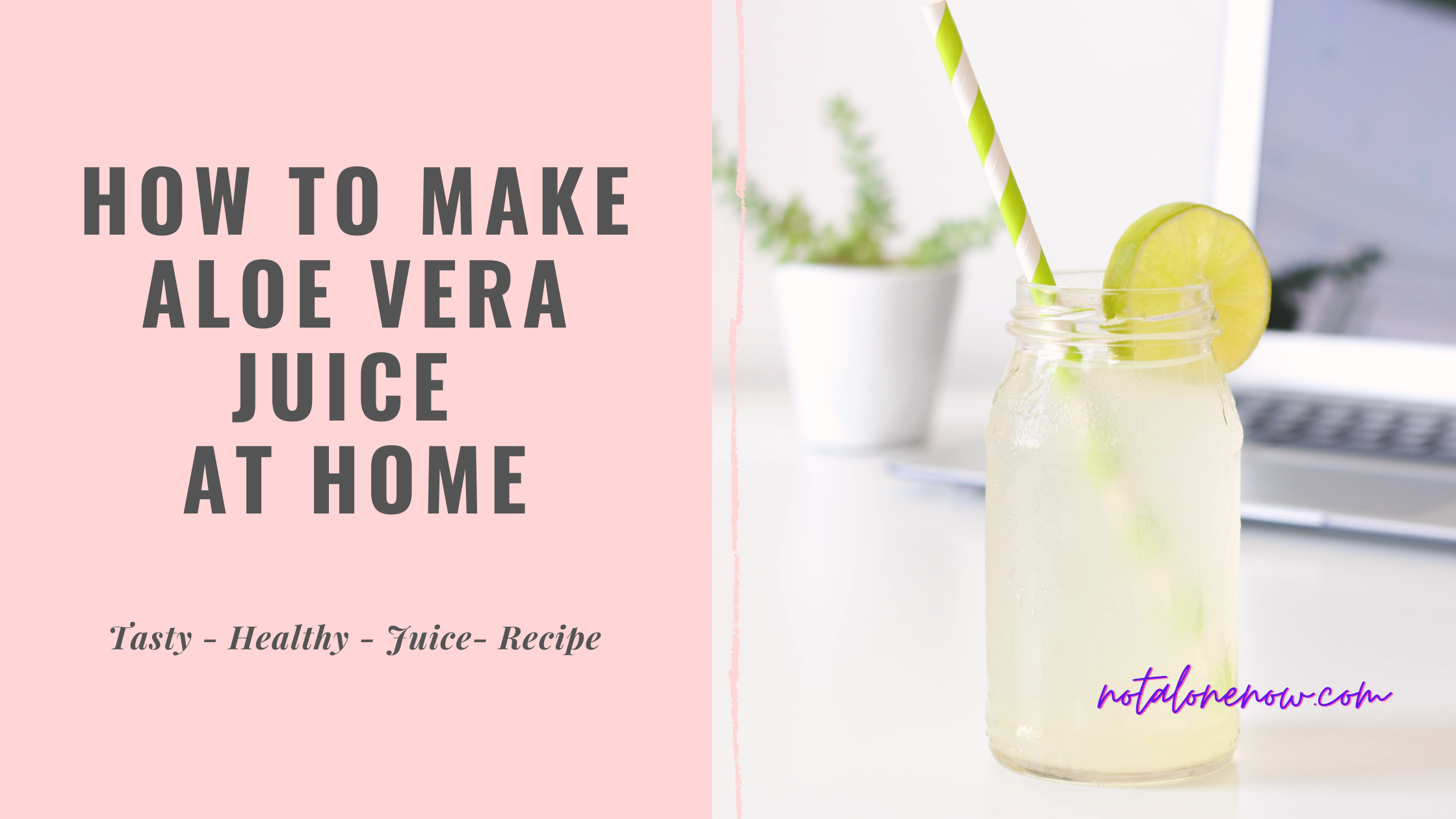 How To Make Aloe Vera Juice At Home Healthy JuiceRecipe » Noah's Digest