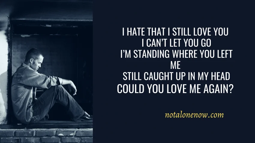 Could You Love Me Again