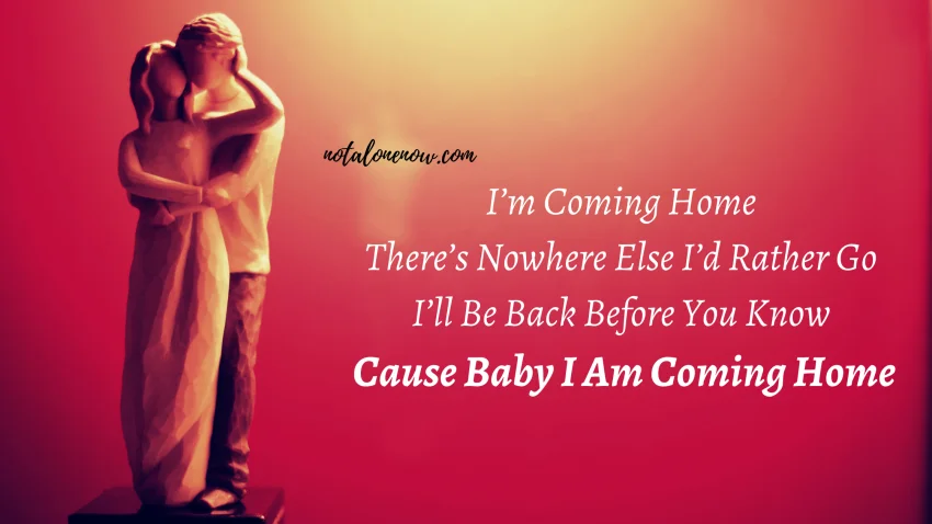 I Am Coming Home
