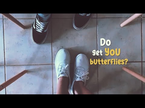 Butterflies lyrics
