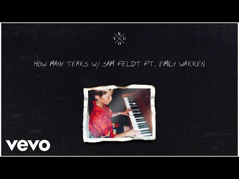 Kygo, Sam Feldt - How Many Tears Lyrics