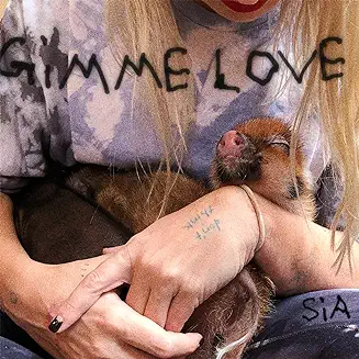 Gimme Love lyrics by Sia