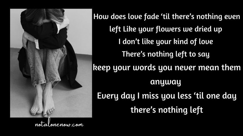 How does love fade ‘til there’s nothing even left - roses lyrics song edits